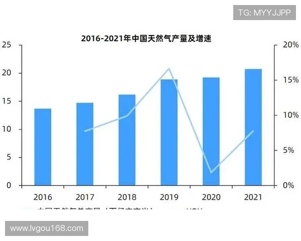 独家深度解析：液化天然气在全球能源市场的竞争力与发展前景